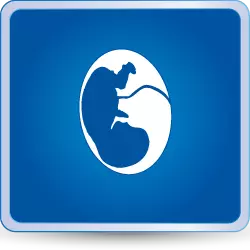 Medicina Materno Fetal
